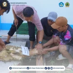 Idul Adha Qurban