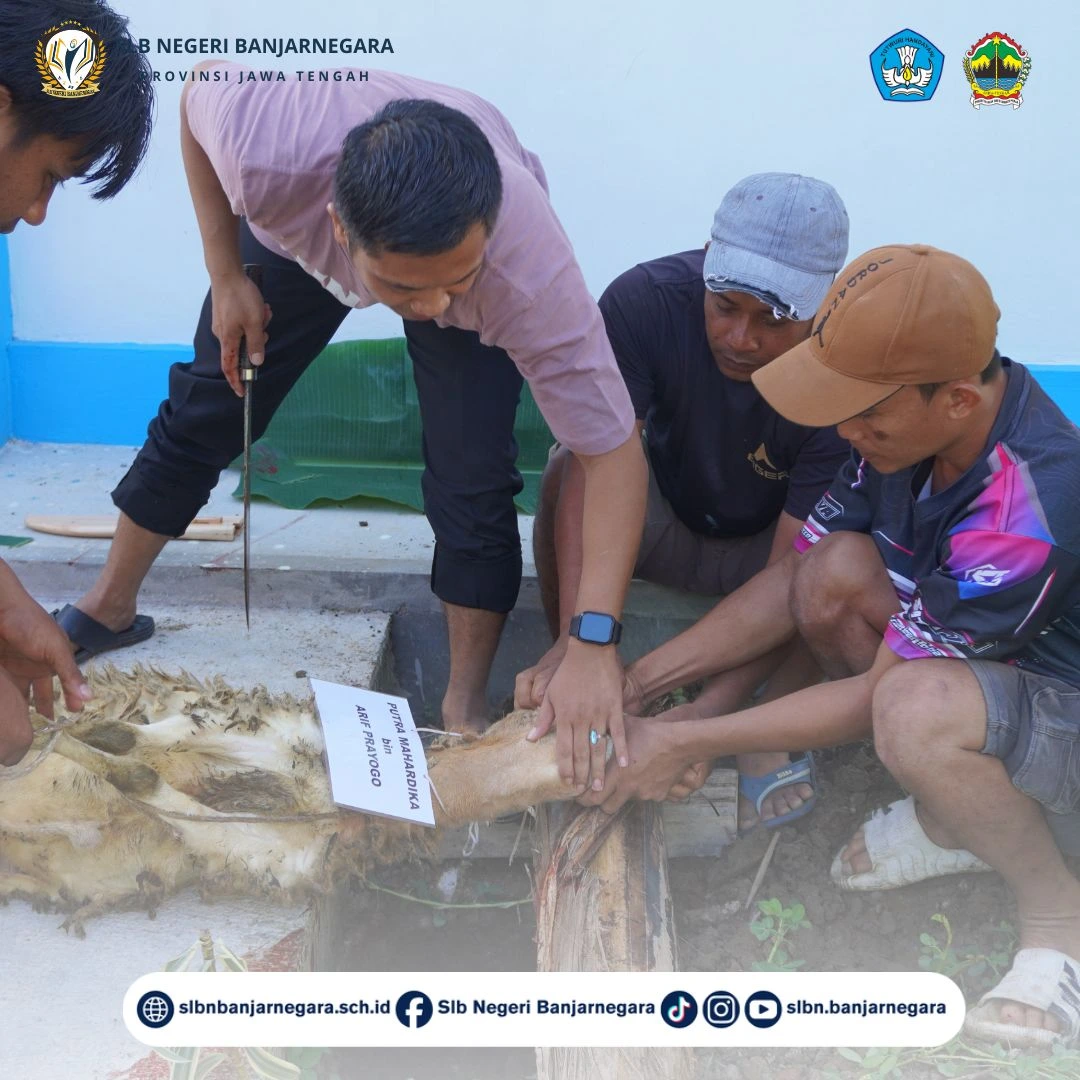 Idul Adha Qurban